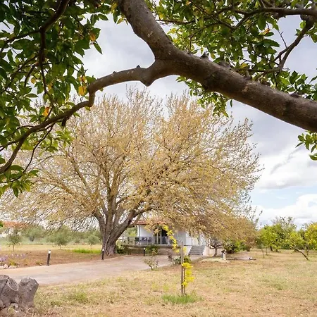 Velika Sea & River Holiday home *